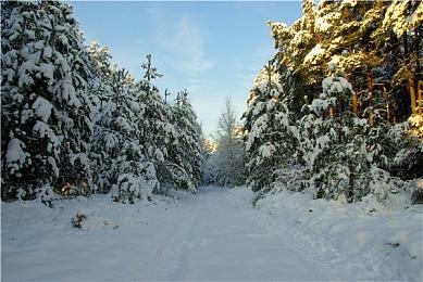欧洲各国最受欢迎游戏曝光 波兰竟不是《巫师3》